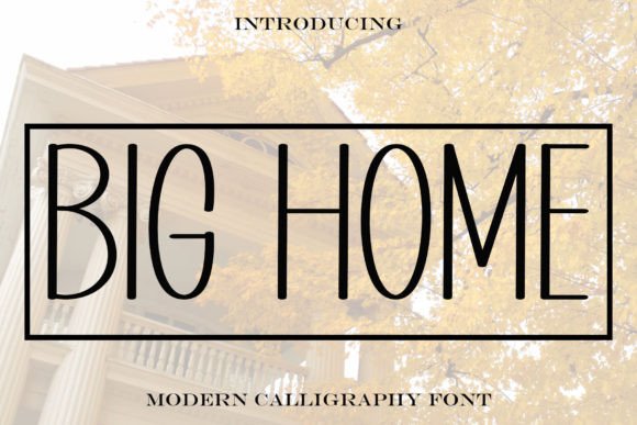 Big Home Font: A Web Designer's Review for Digital Branding
